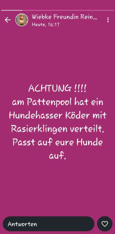 Giftköder-Hundehasser-Bild