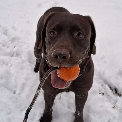 Melanie's Profilbild