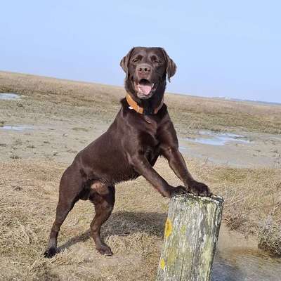 Melanie's Profilbild