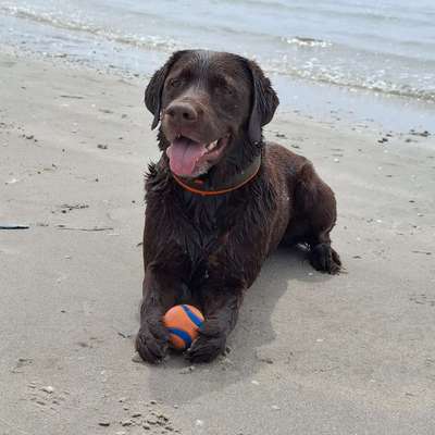 Melanie's Profilbild