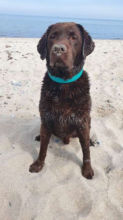 Fotochallenge Nr. 56 - geliebte Senioren-Beitrag-Bild