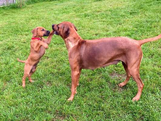 Euer absolutes lieblings Bild !-Beitrag-Bild