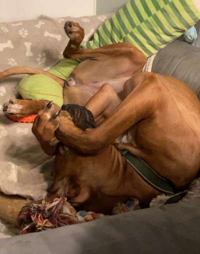 Challenge 21 - wo bin ich : )-Beitrag-Bild