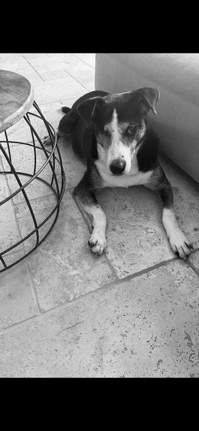 Foto-Challenge 76: Foto in Schwarz-Weiss-Beitrag-Bild