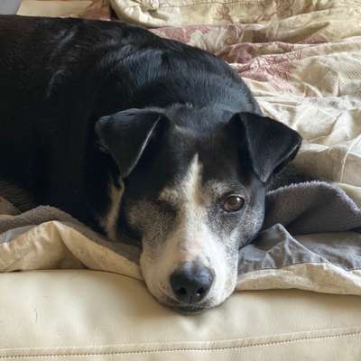 Fotochallange Nr. 57     PORTRÄT.   Beendet!!!!!!!!-Beitrag-Bild