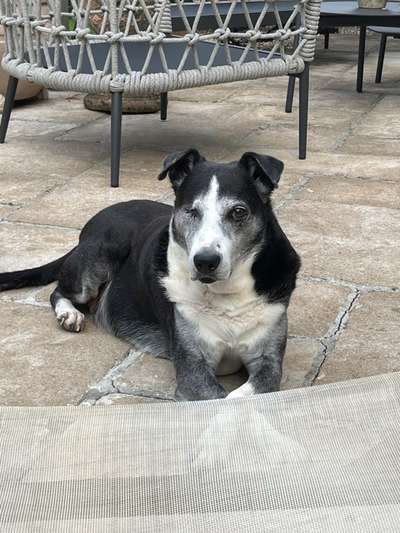 Doppelgänger gesucht !-Beitrag-Bild