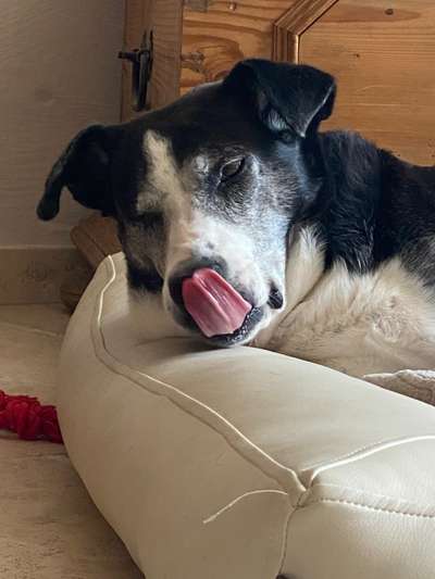 Her mit dem Grimassen-Beitrag-Bild