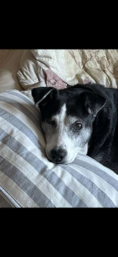 Doppelgänger gesucht !-Beitrag-Bild