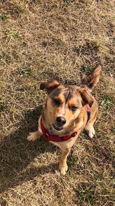 Handy-Foto Challange Nr. 10-Beitrag-Bild