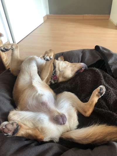 Fotochallenge Nr.65-Beitrag-Bild