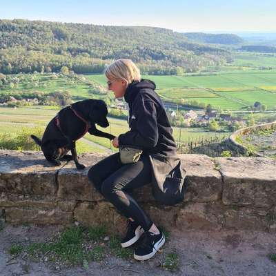 Hundetreffen-Gassi Treffen-Profilbild