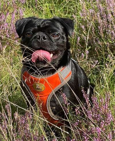 Fotochallange Nr. 57     PORTRÄT.   Beendet!!!!!!!!-Beitrag-Bild