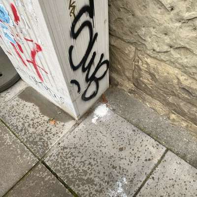 Giftköder-Weißes Pulver-Bild