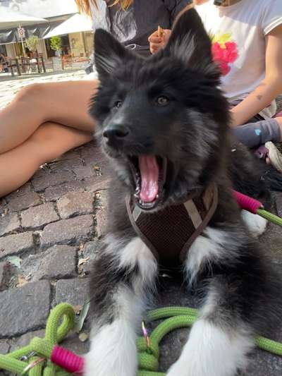 Foto-Challange No.1 - Alles aber nicht die Kamera-Beitrag-Bild