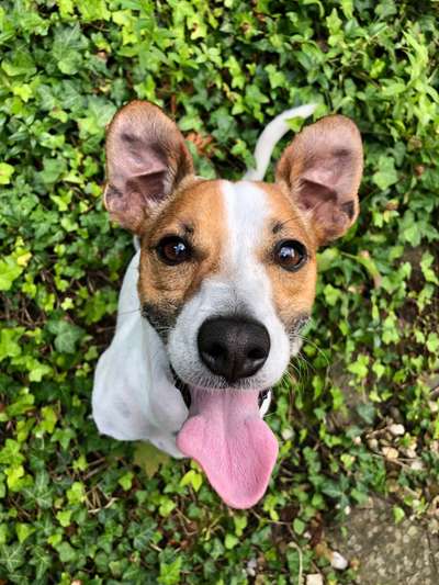 Fotochallange Nr. 57     PORTRÄT.   Beendet!!!!!!!!-Beitrag-Bild