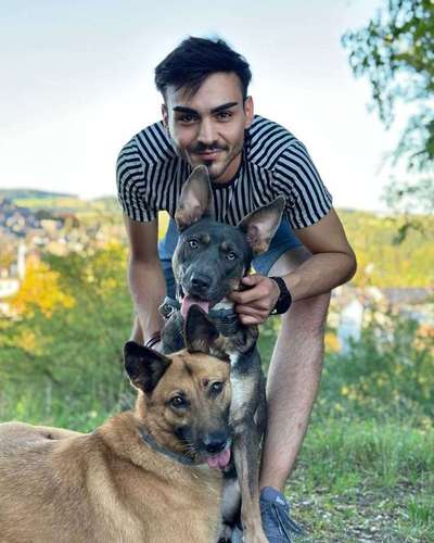 Hundetreffen-Gemeinsame Gassirunden mit Cassandra&'Bee-Bild