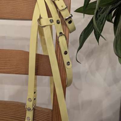 %{de_profession_title}-Leinen und Halsbänder-Bild