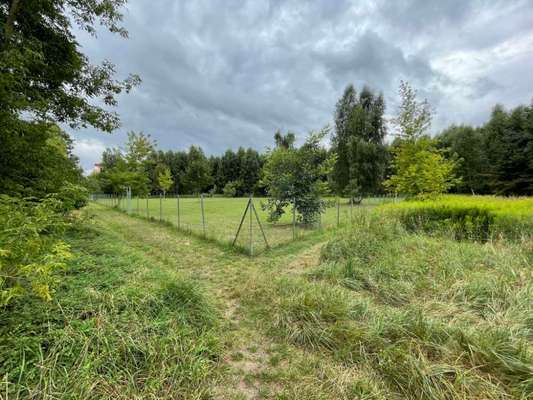 Hundeauslaufgebiet-Hundewiese Süd-Bild