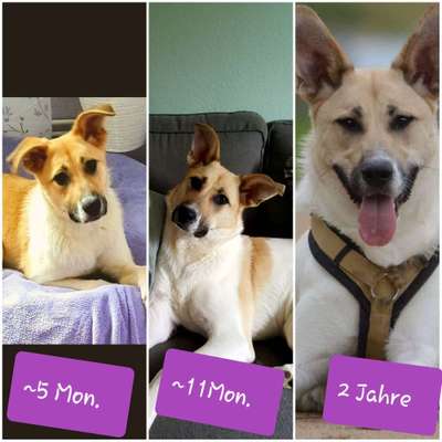 Vorher.... Nachher-Beitrag-Bild