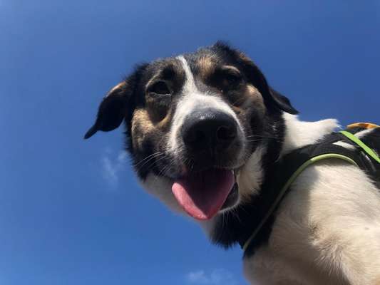 Lieblingsbild-Beitrag-Bild