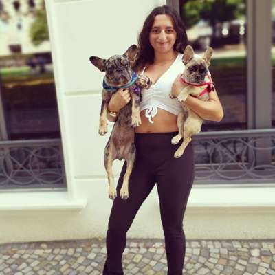 Hundetreffen-Frenchie Treffen❤️-Profilbild