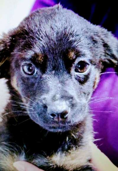 Sie werden so schnell erwachsen ...-Beitrag-Bild