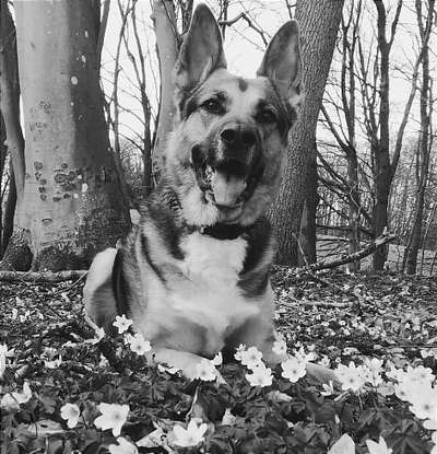 Foto-Challenge 76: Foto in Schwarz-Weiss-Beitrag-Bild