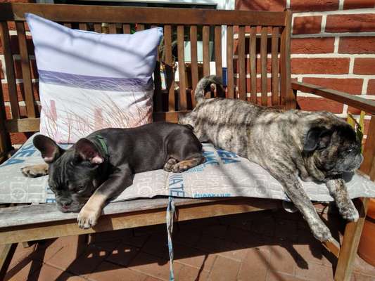 Foto Challenge Nr. 134-Beitrag-Bild