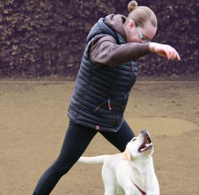 Hundetreffen-Trainingsspaziergang-Bild