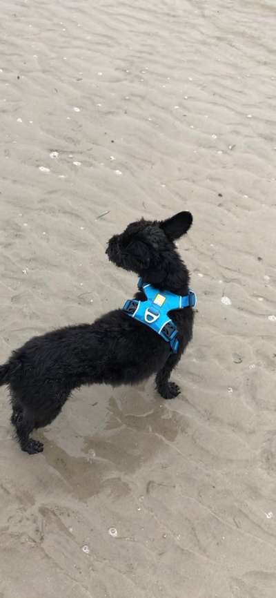 Geschirr Empfehlung-Beitrag-Bild