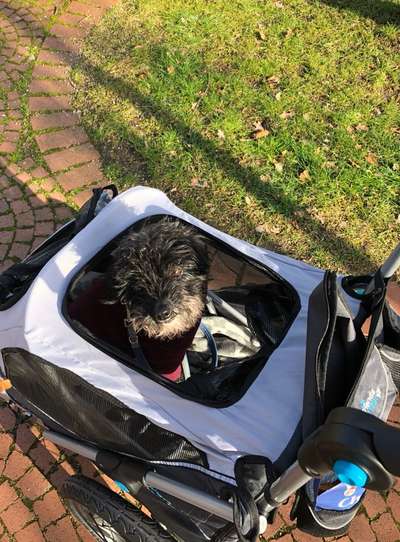 CHALLENGE NR. 18 - ON TOUR-Beitrag-Bild