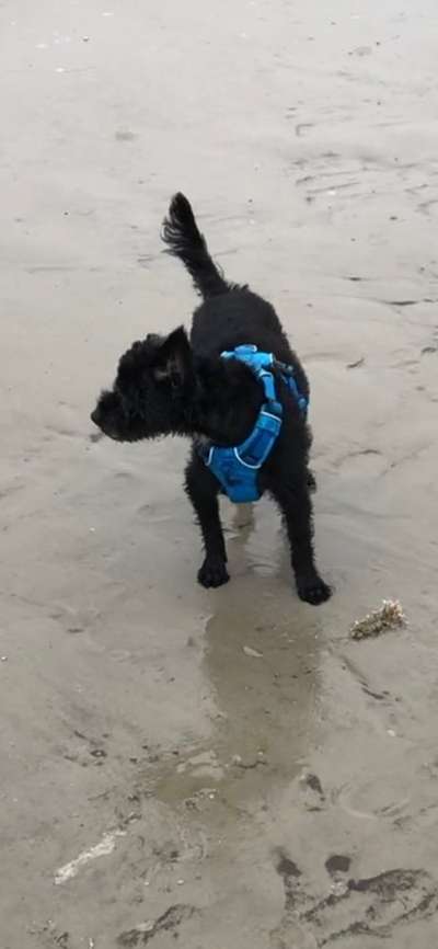 Geschirr Empfehlung-Beitrag-Bild