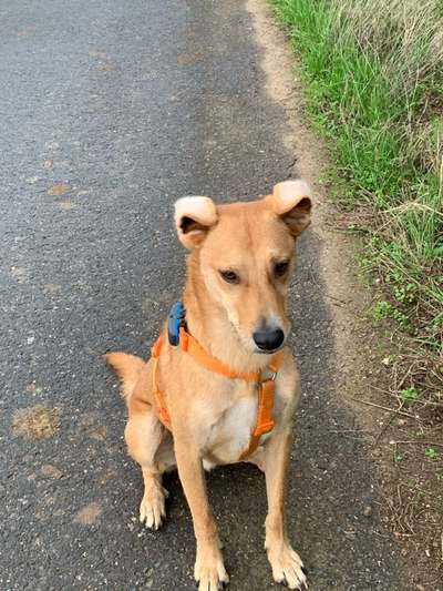 Fotochallenge No. 26                                     Wald und Wiese-Beitrag-Bild