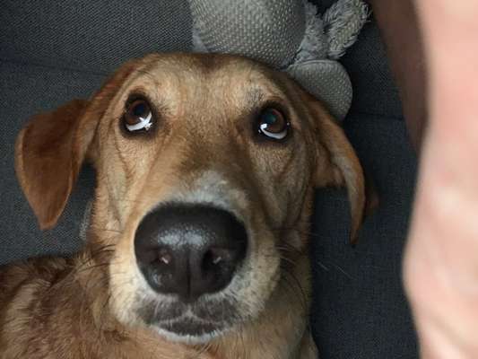 Fotochallenge No. 26                                     Wald und Wiese-Beitrag-Bild