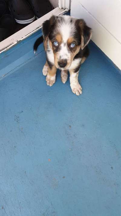 Foto Challenge 3-Beitrag-Bild