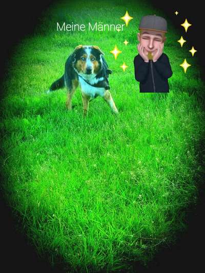 Die Dogorama Monats Challenge "Es grünt und blüht"-Beitrag-Bild