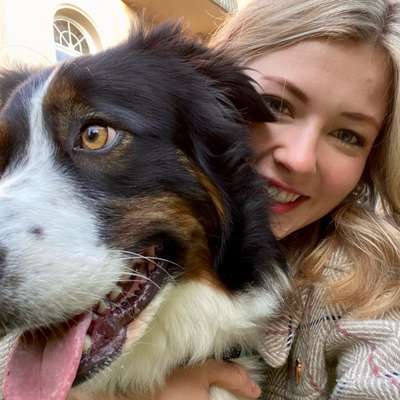 Hundetreffen-Henri sucht neue Spielfreundinnen, da wir neu in der Umgebung sind 🐾