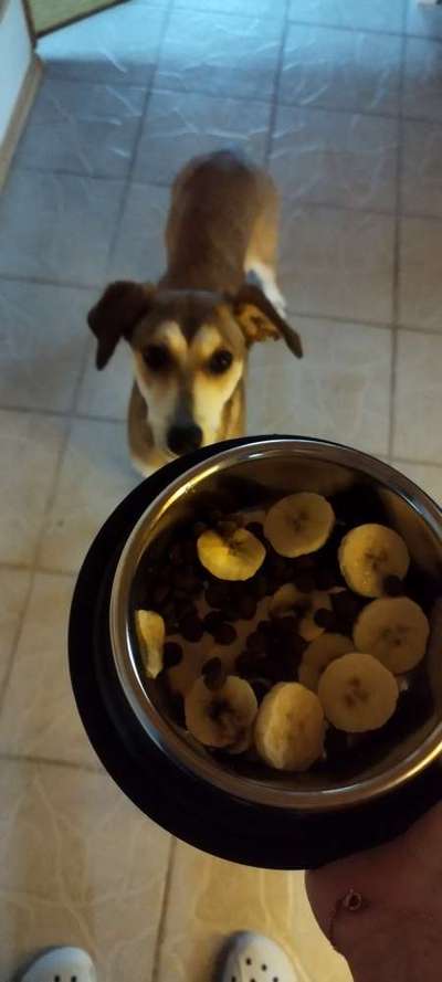 Außergewöhnliche Merkmale-Beitrag-Bild