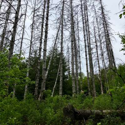 aktuelles Foto Gruppe Wandern und Outdoor