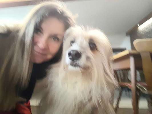 Berger des Pyrénéés-Beitrag-Bild