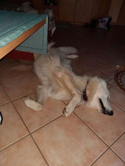 CHALLENGE NR. 34 - Liege-/Schlafpositionen-Beitrag-Bild