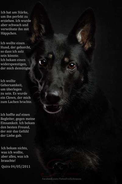 Unsere Sternchen ******-Beitrag-Bild