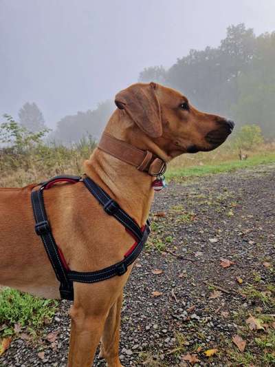 Zeigt eure Portraits-Beitrag-Bild