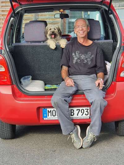 FOTOCHALLENGE 70 - Dein Hund im Auto-Beitrag-Bild