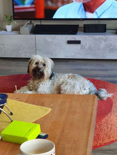 Doppelgänger gesucht !-Beitrag-Bild