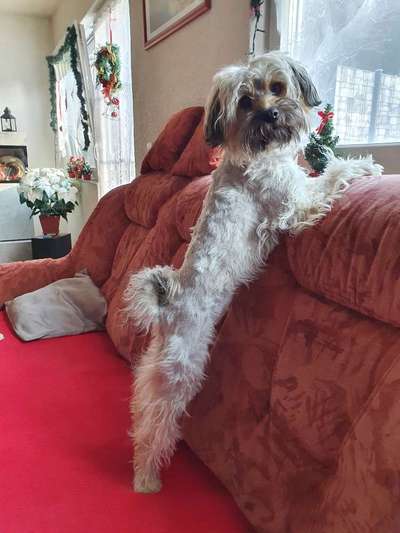 Lieblingsbild-Beitrag-Bild