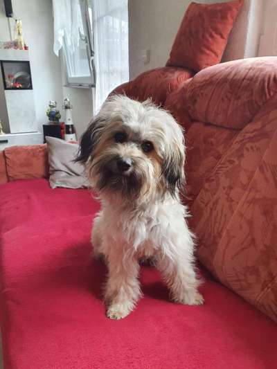 23. Collagen-Challenge: Portraits-Beitrag-Bild