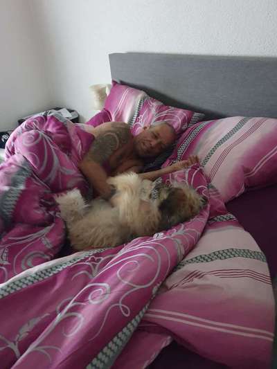 Darf der Hund bei Euch im Bett schlafen?-Beitrag-Bild