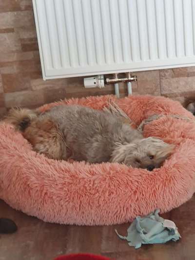 Ratespaß geht weiter-Beitrag-Bild