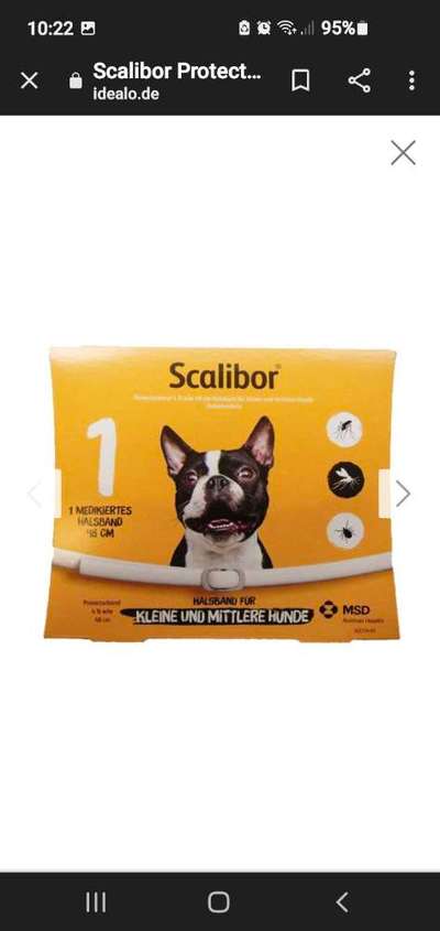 Floh und Zeckenmittel-Beitrag-Bild